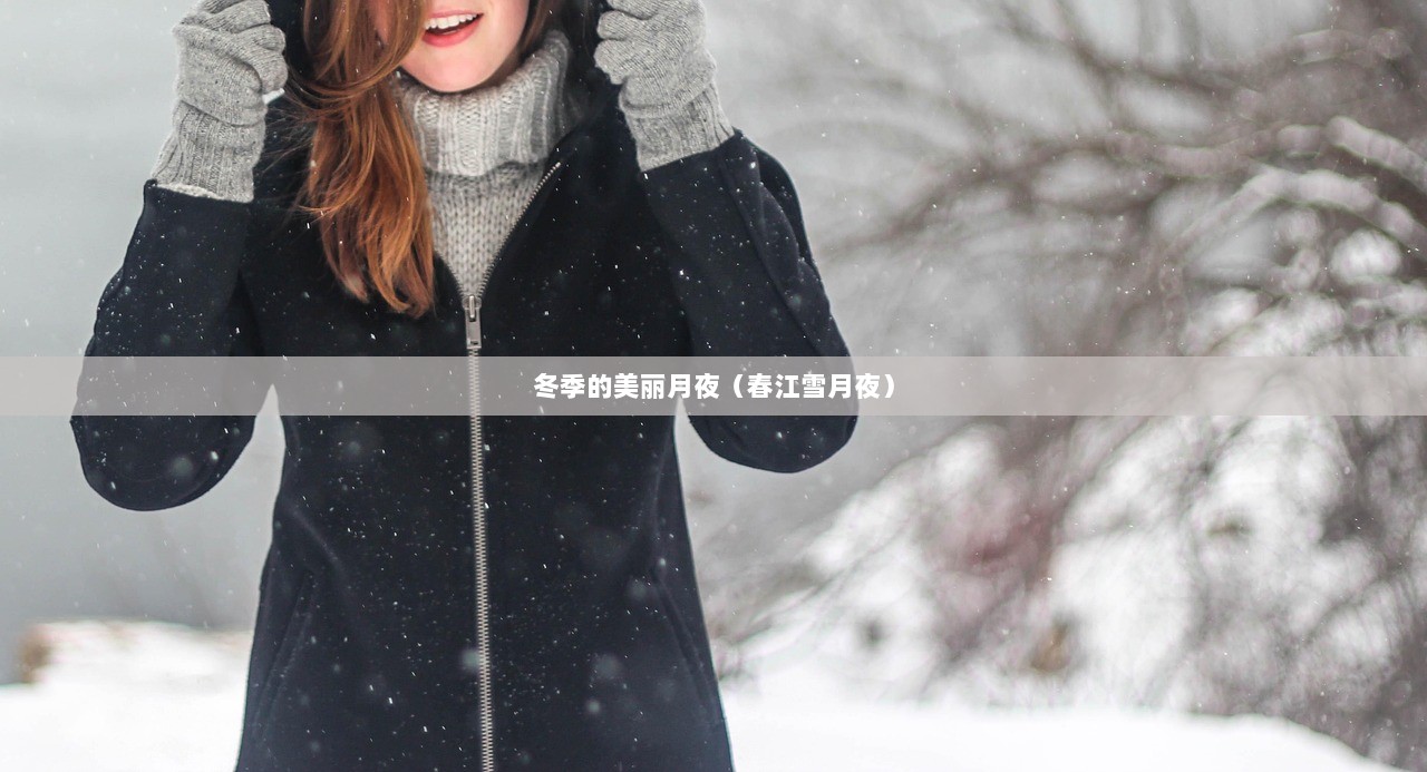 冬季的美丽月夜（春江雪月夜）