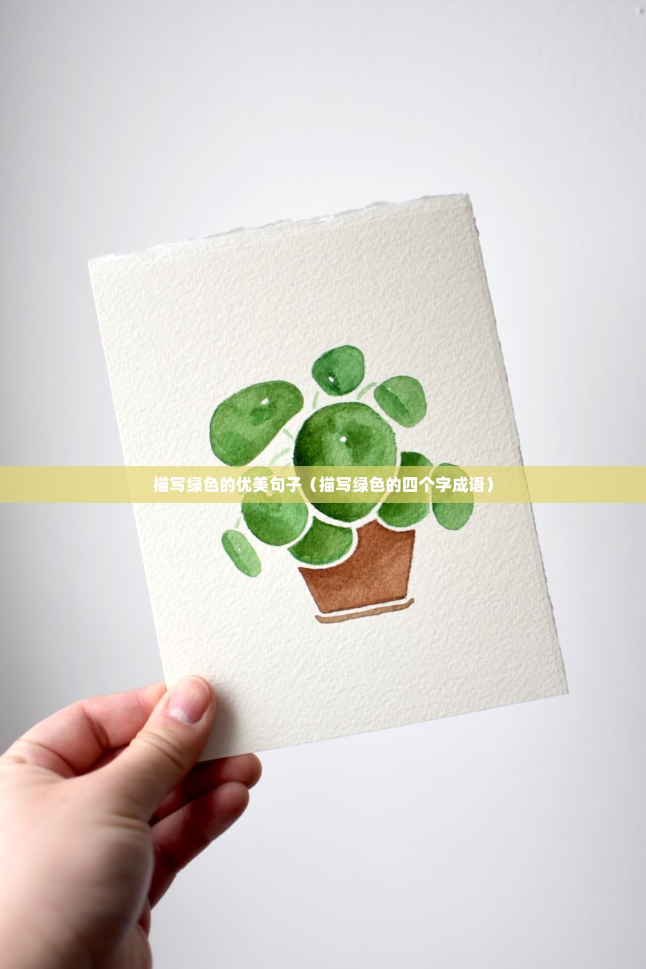 描写绿色的优美句子（描写绿色的四个字成语）