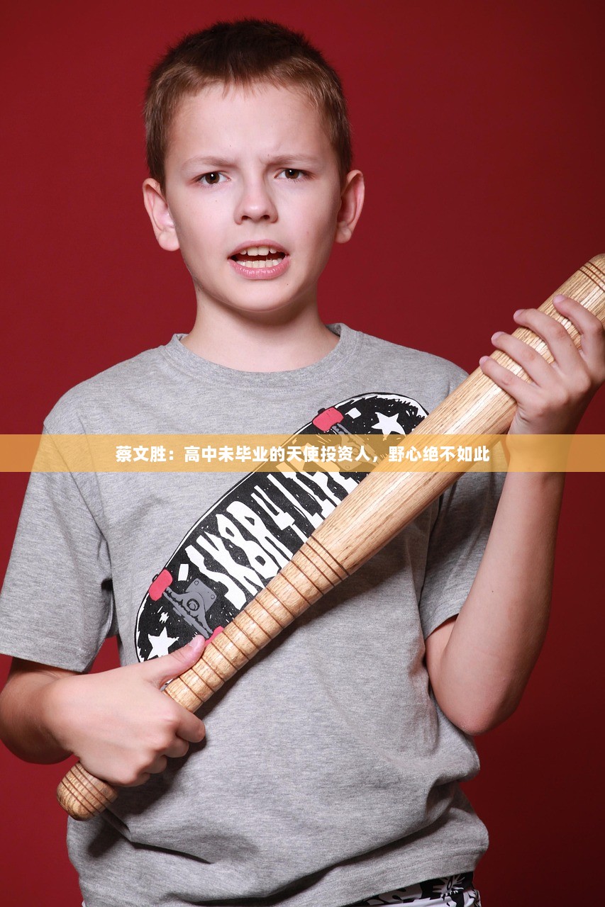 蔡文胜：高中未毕业的天使投资人，野心绝不如此