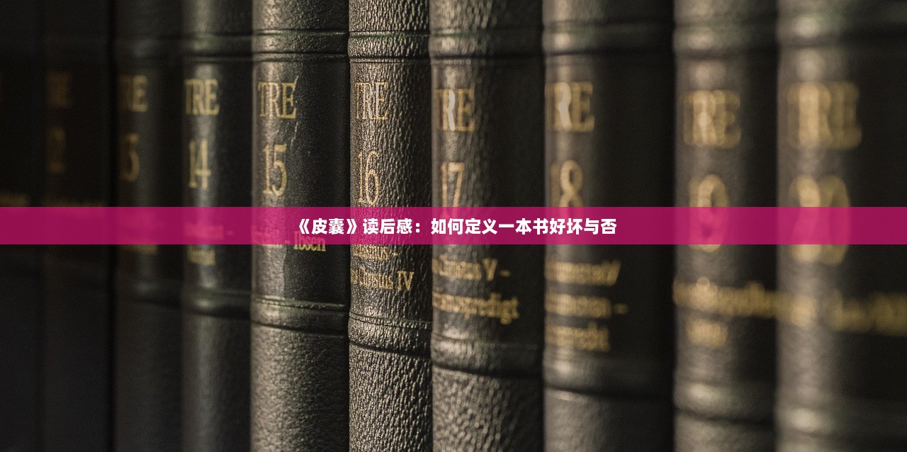 《皮囊》读后感：如何定义一本书好坏与否