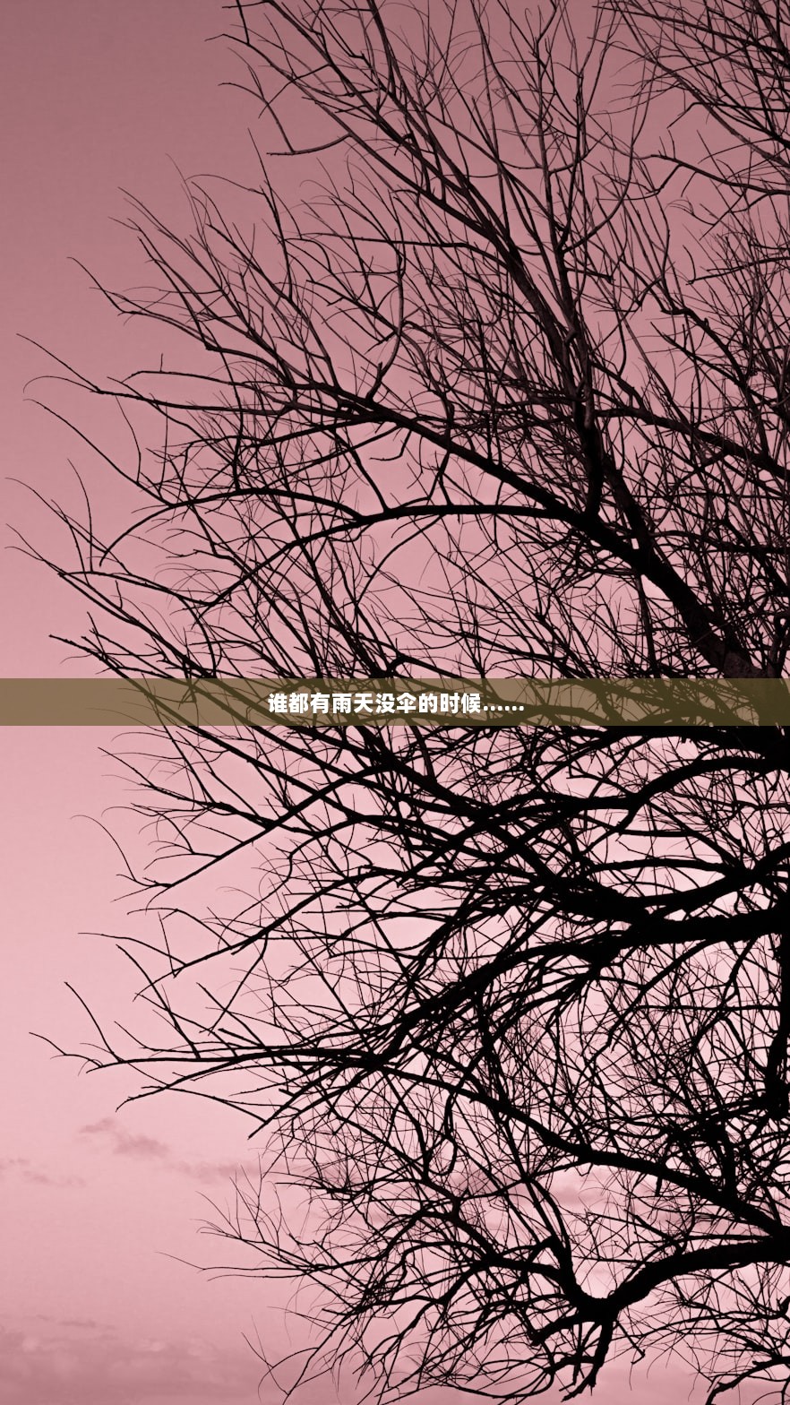 谁都有雨天没伞的时候……