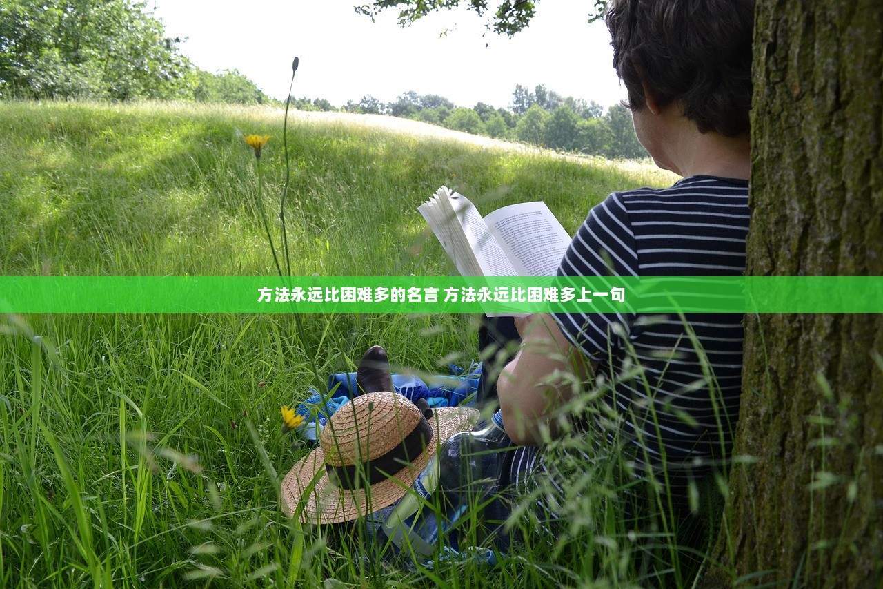 方法永远比困难多的名言 方法永远比困难多上一句