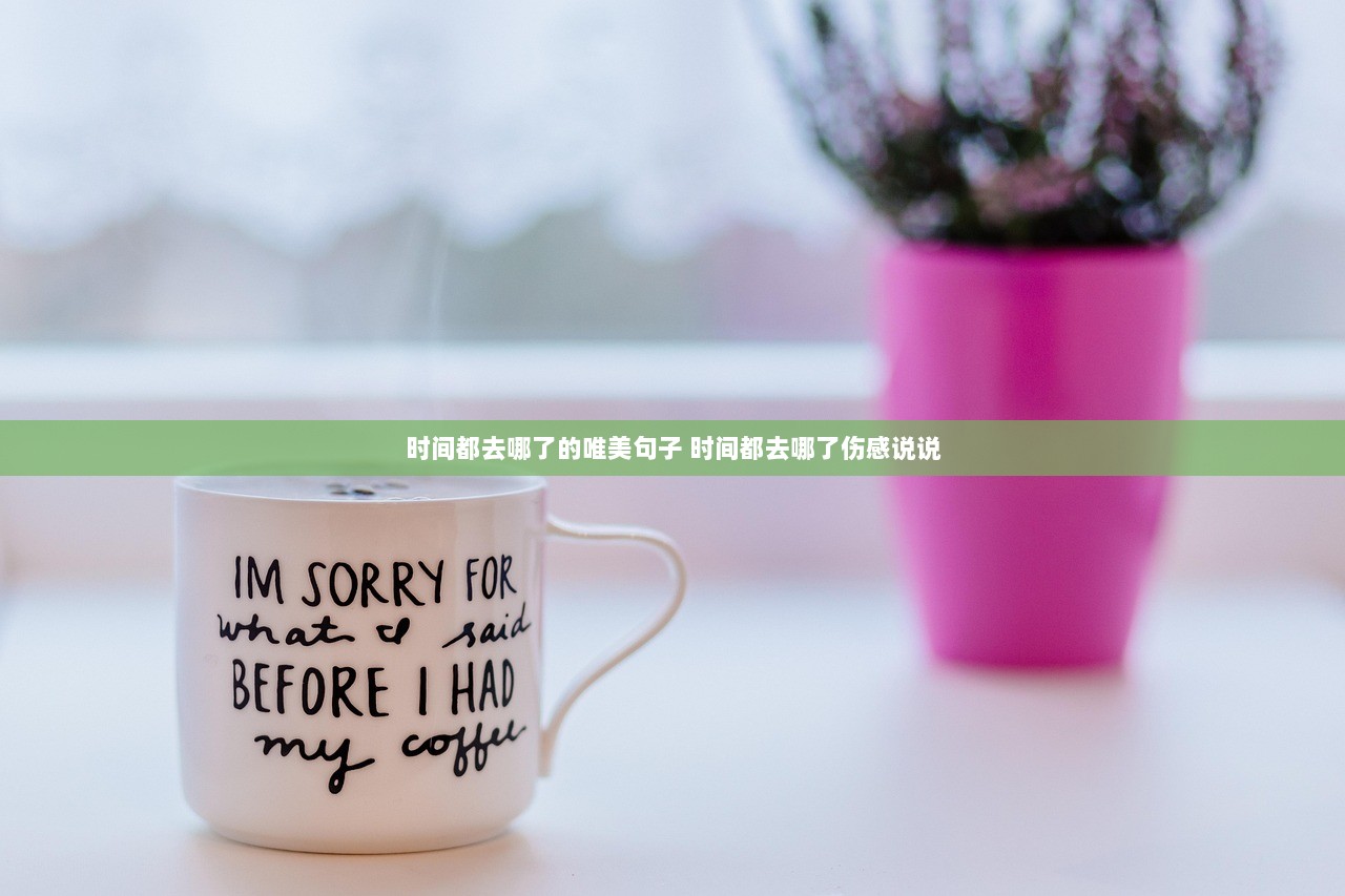 时间都去哪了的唯美句子 时间都去哪了伤感说说
