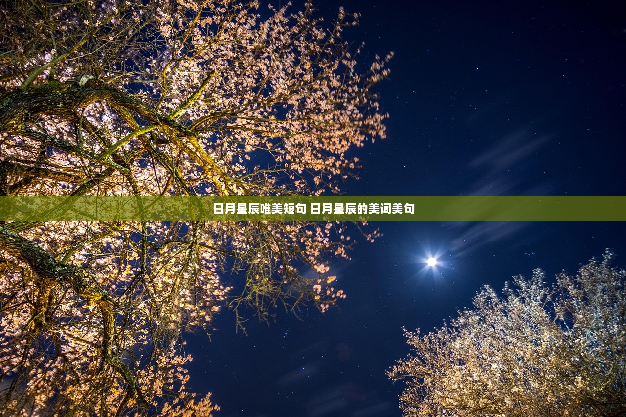 日月星辰唯美短句 日月星辰的美词美句  第1张