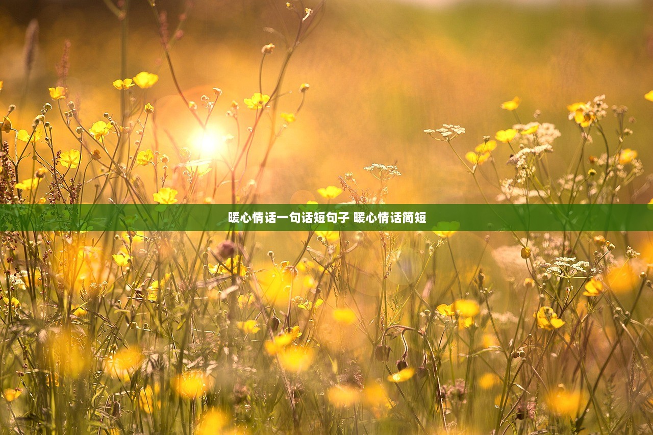 暖心情话一句话短句子 暖心情话简短