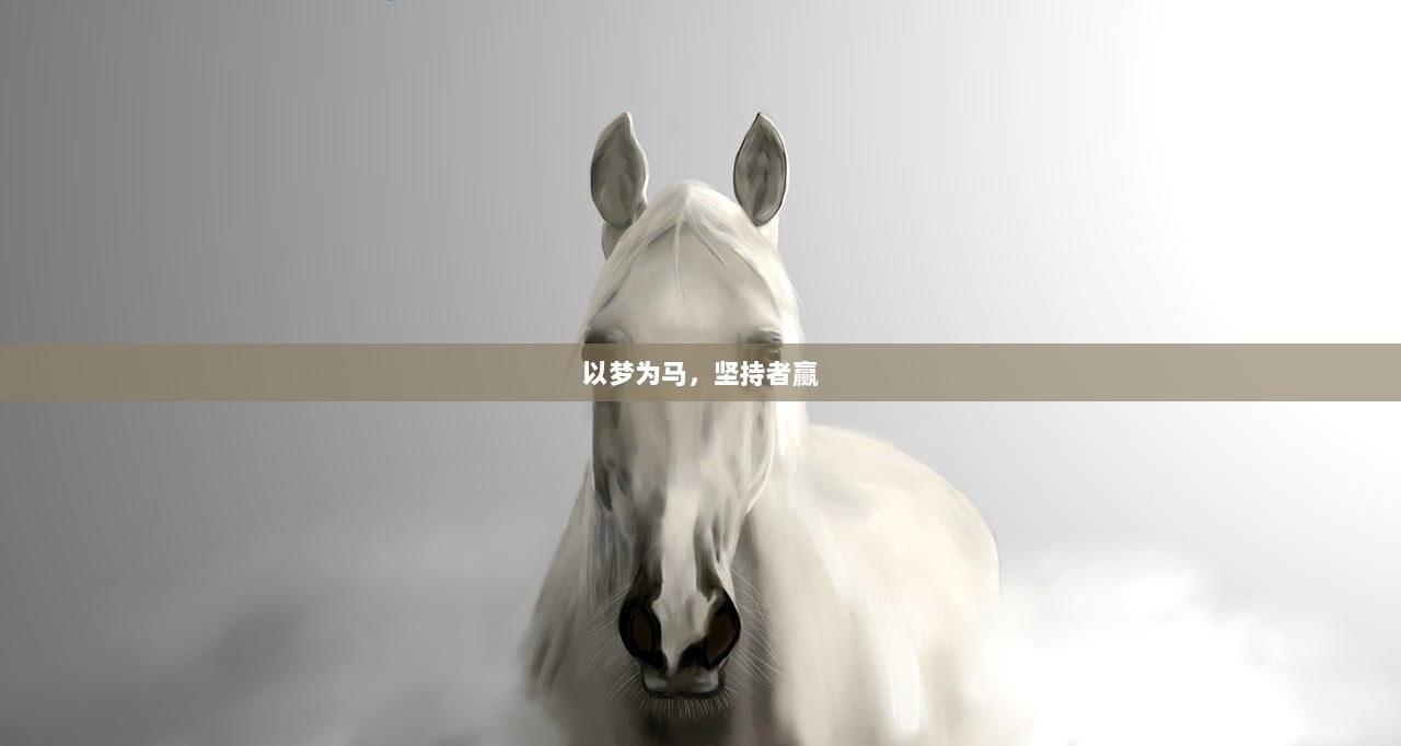 以梦为马，坚持者赢