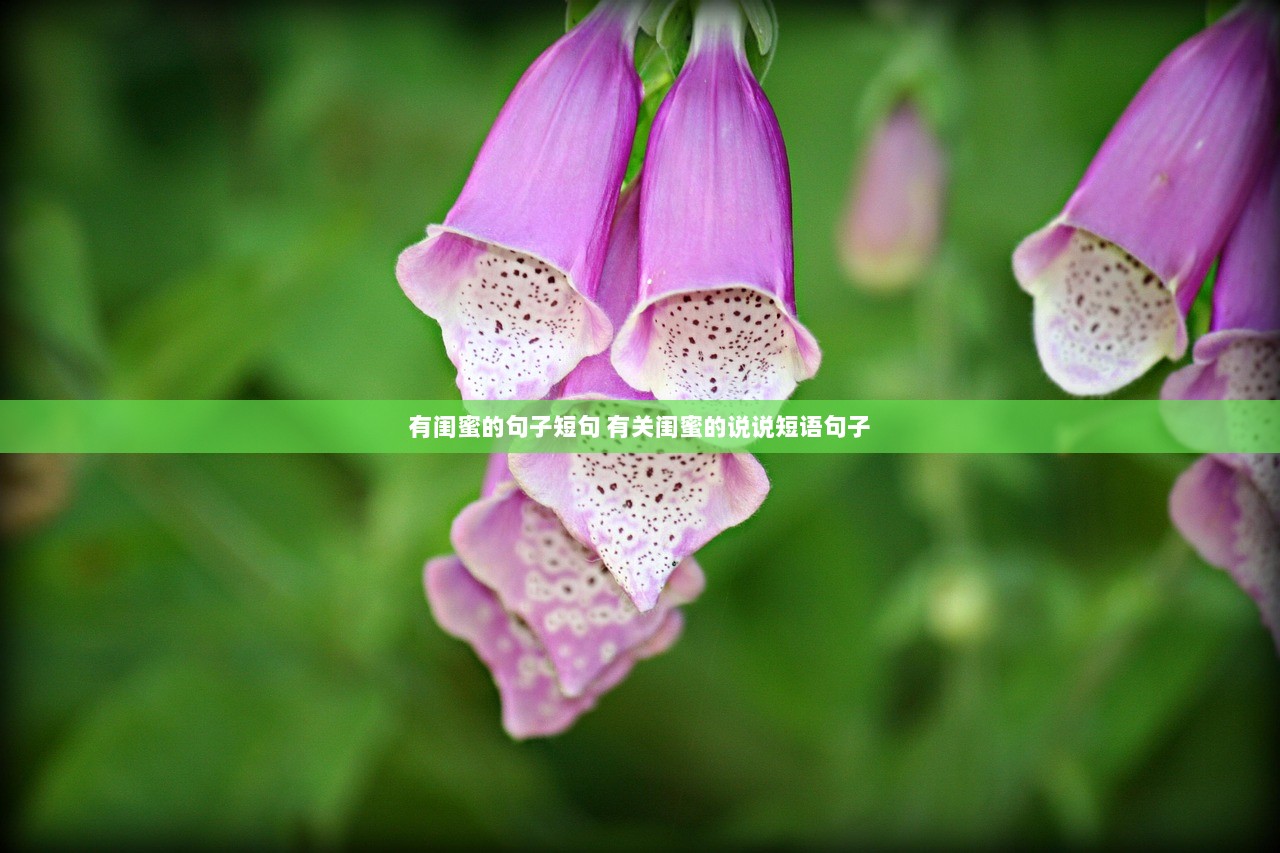 有闺蜜的句子短句 有关闺蜜的说说短语句子