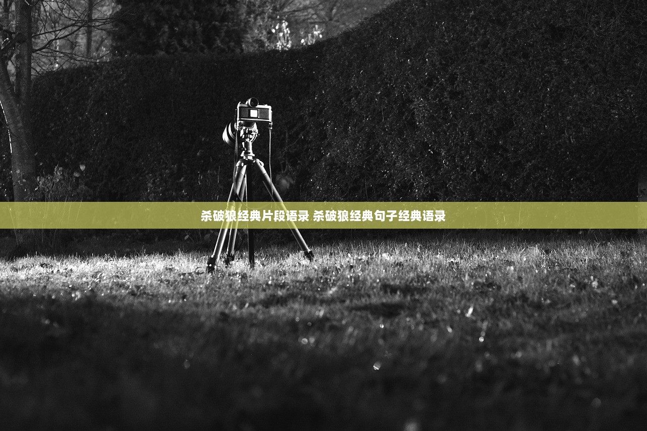 杀破狼经典片段语录 杀破狼经典句子经典语录