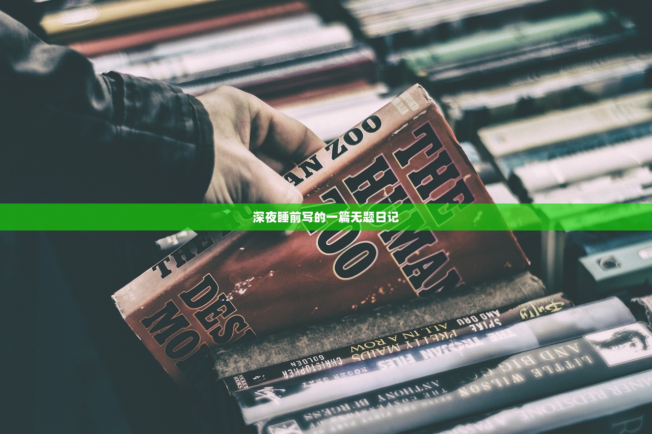 深夜睡前写的一篇无题日记