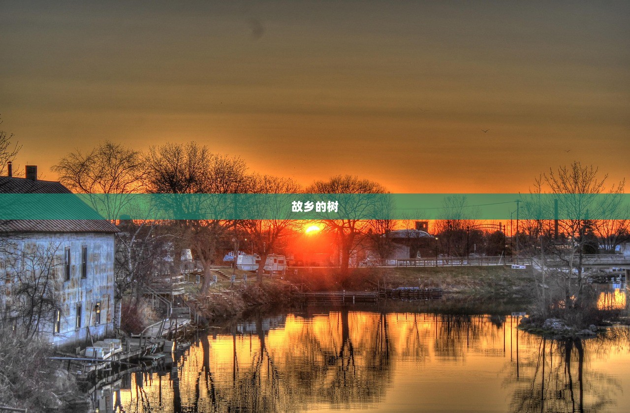 故乡的树
