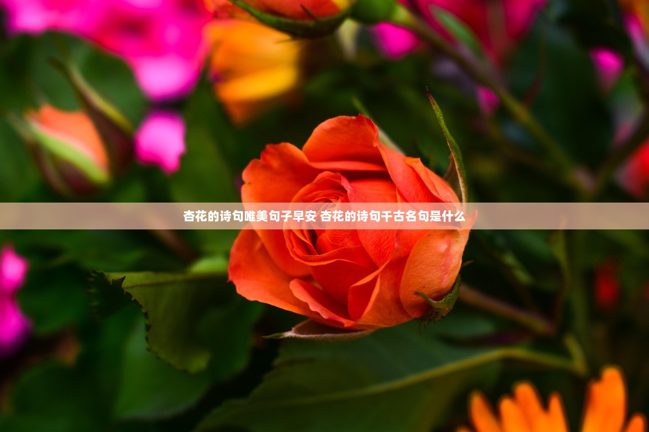 杏花的诗句唯美句子早安 杏花的诗句千古名句是什么