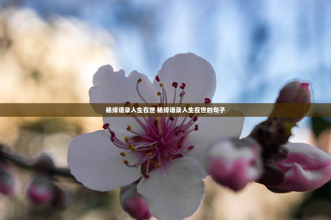 杨绛语录人生在世 杨绛语录人生在世的句子