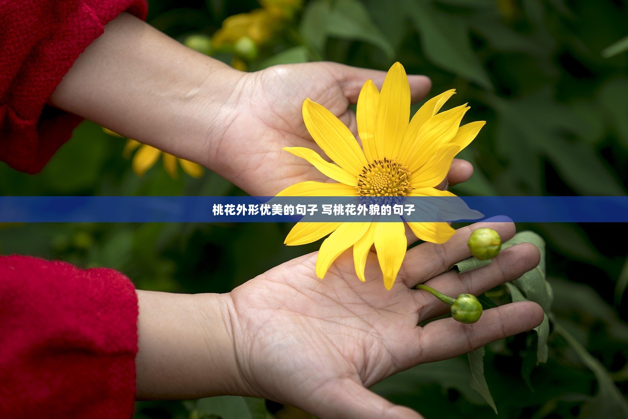 桃花外形优美的句子 写桃花外貌的句子