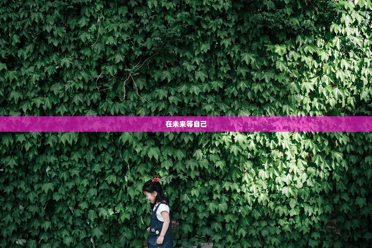 在未来等自己