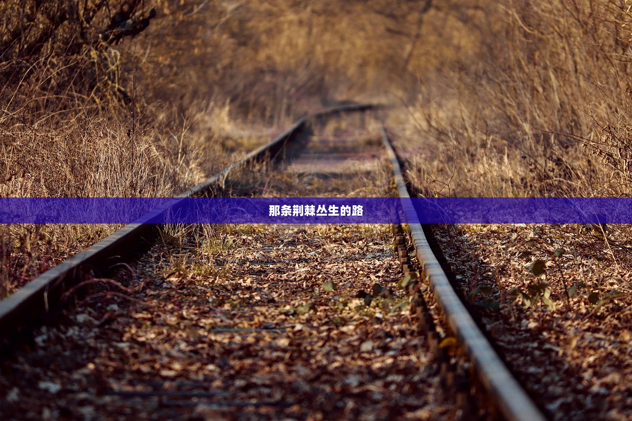 那条荆棘丛生的路