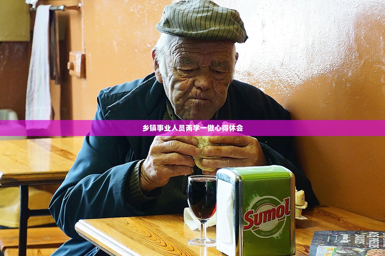 乡镇事业人员两学一做心得休会