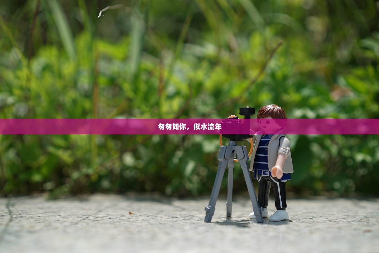 匆匆如你，似水流年