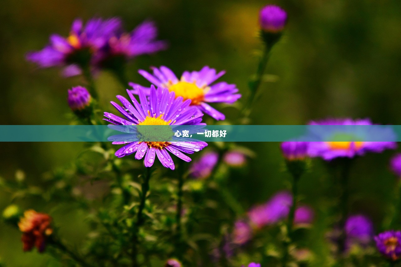 心宽，一切都好