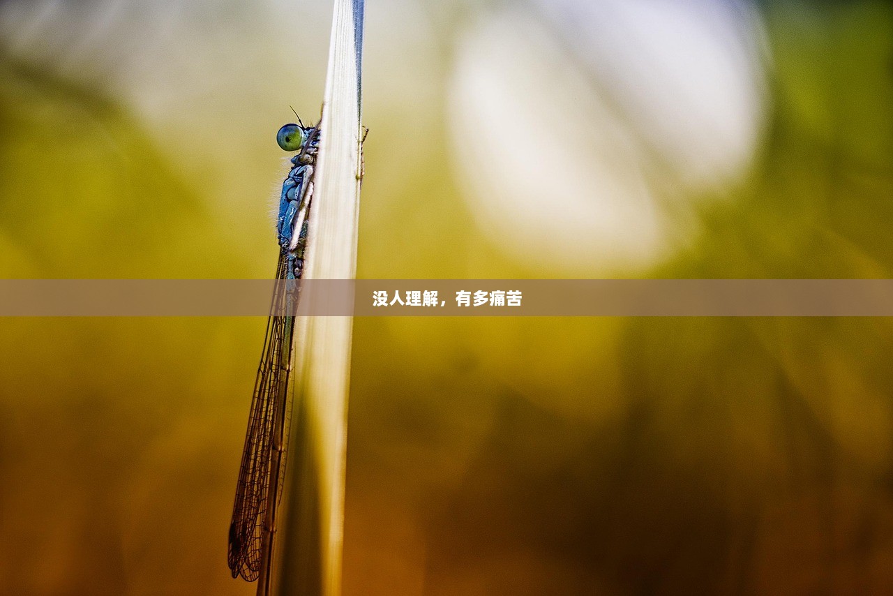 没人理解，有多痛苦