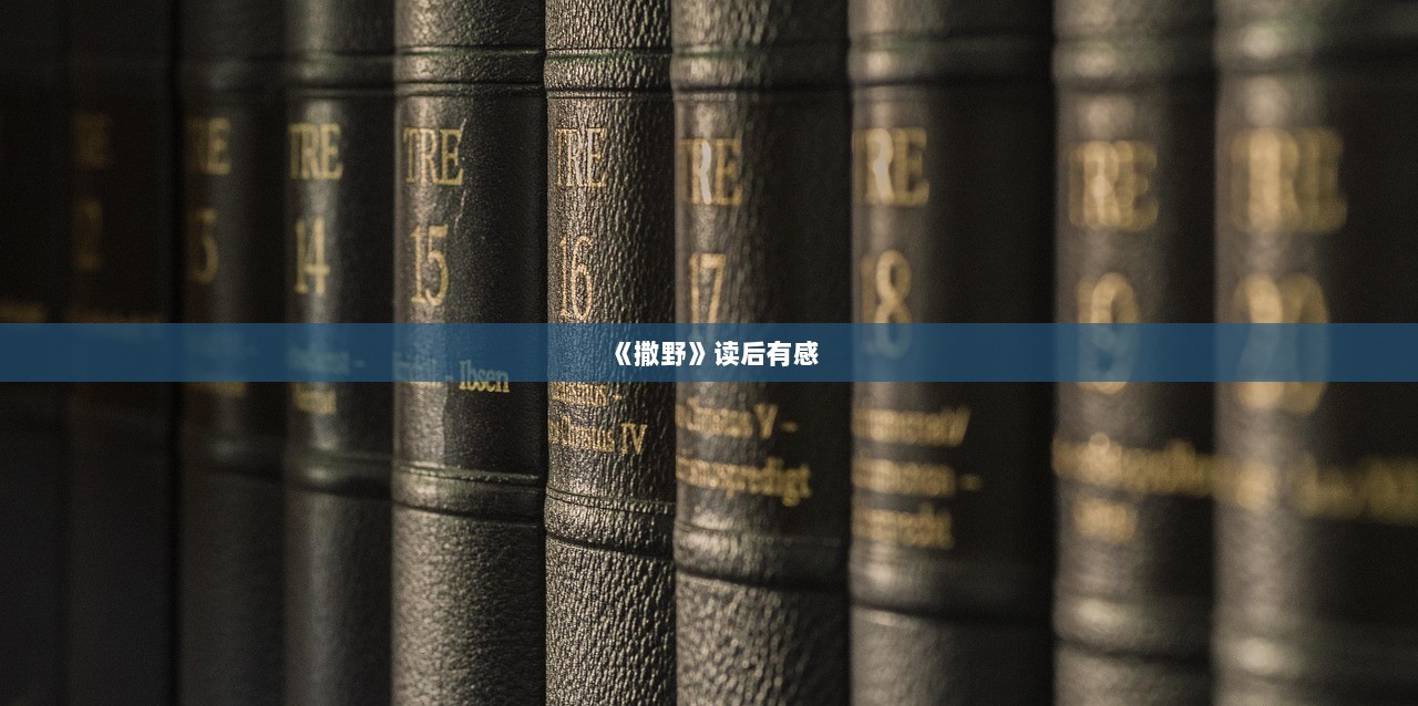 《撒野》读后有感