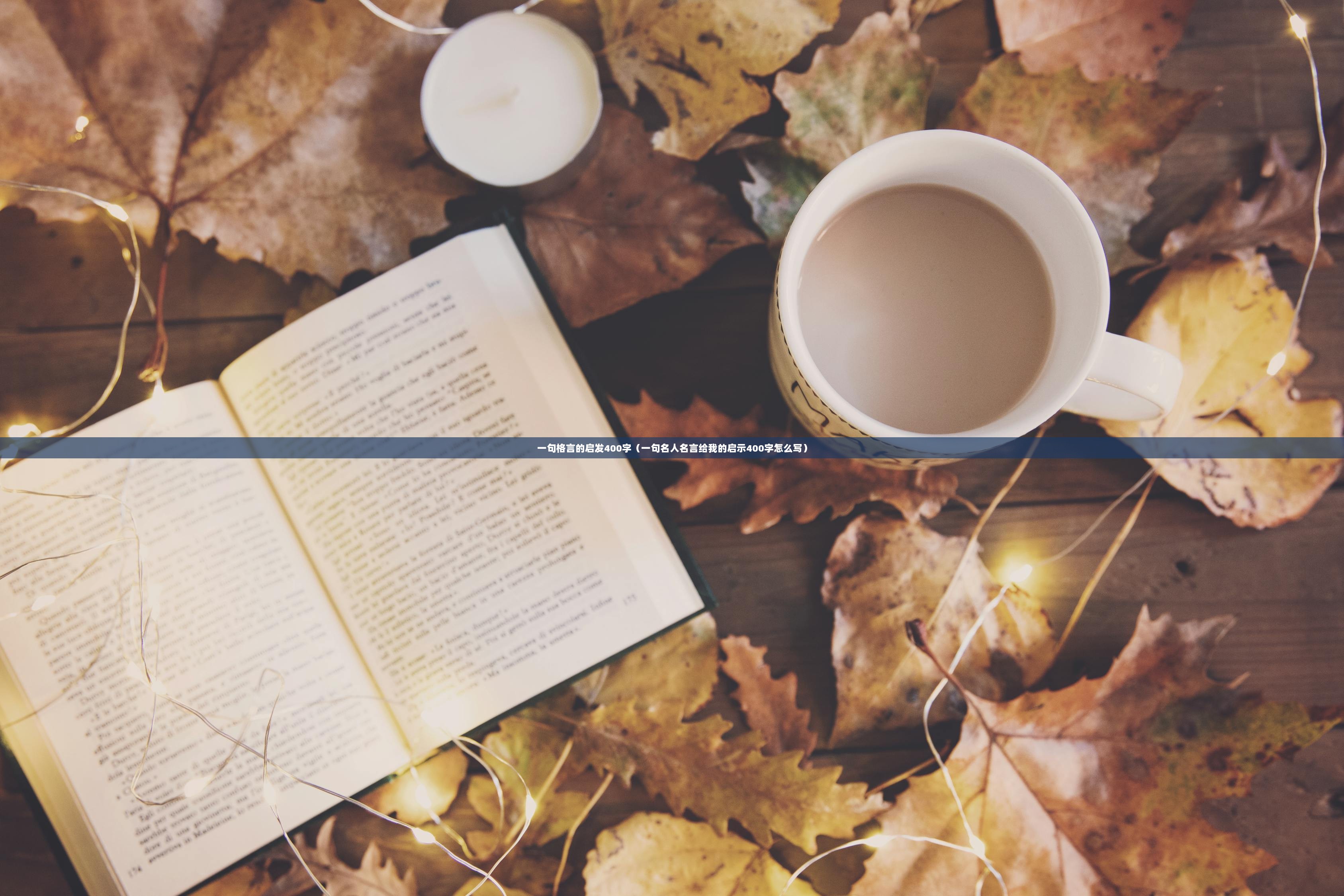 一句格言的启发400字（一句名人名言给我的启示400字怎么写）