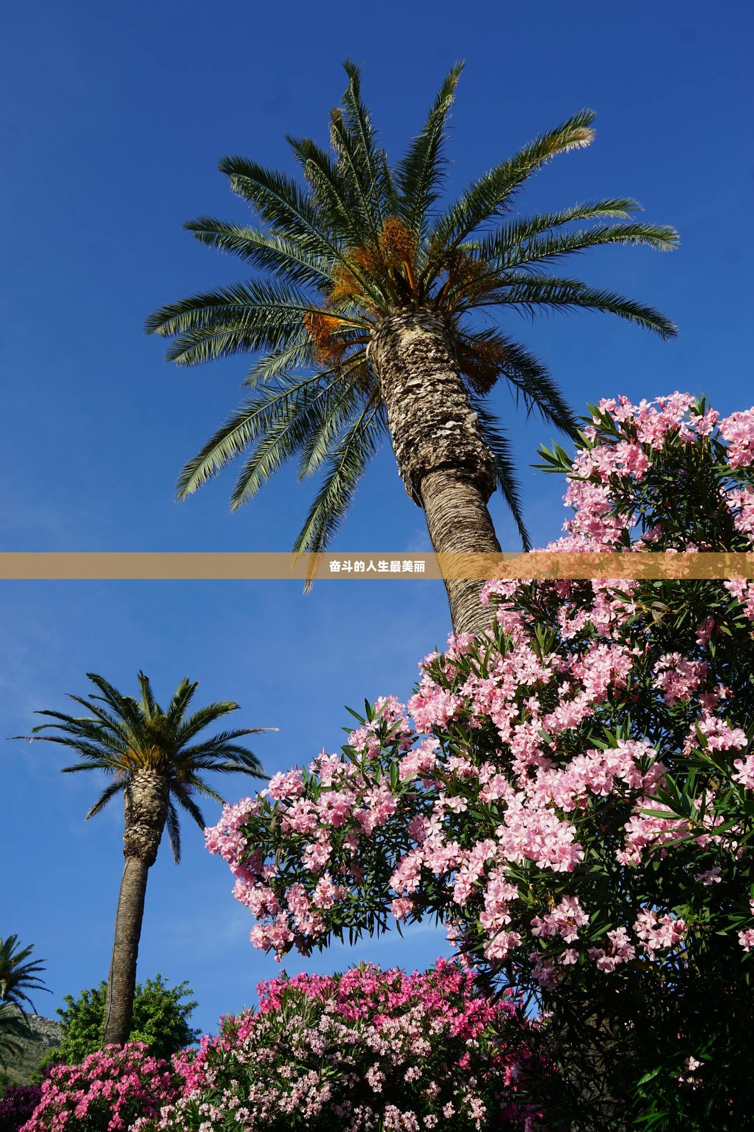 奋斗的人生最美丽