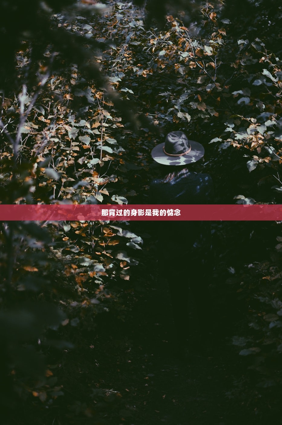 那背过的身影是我的惦念