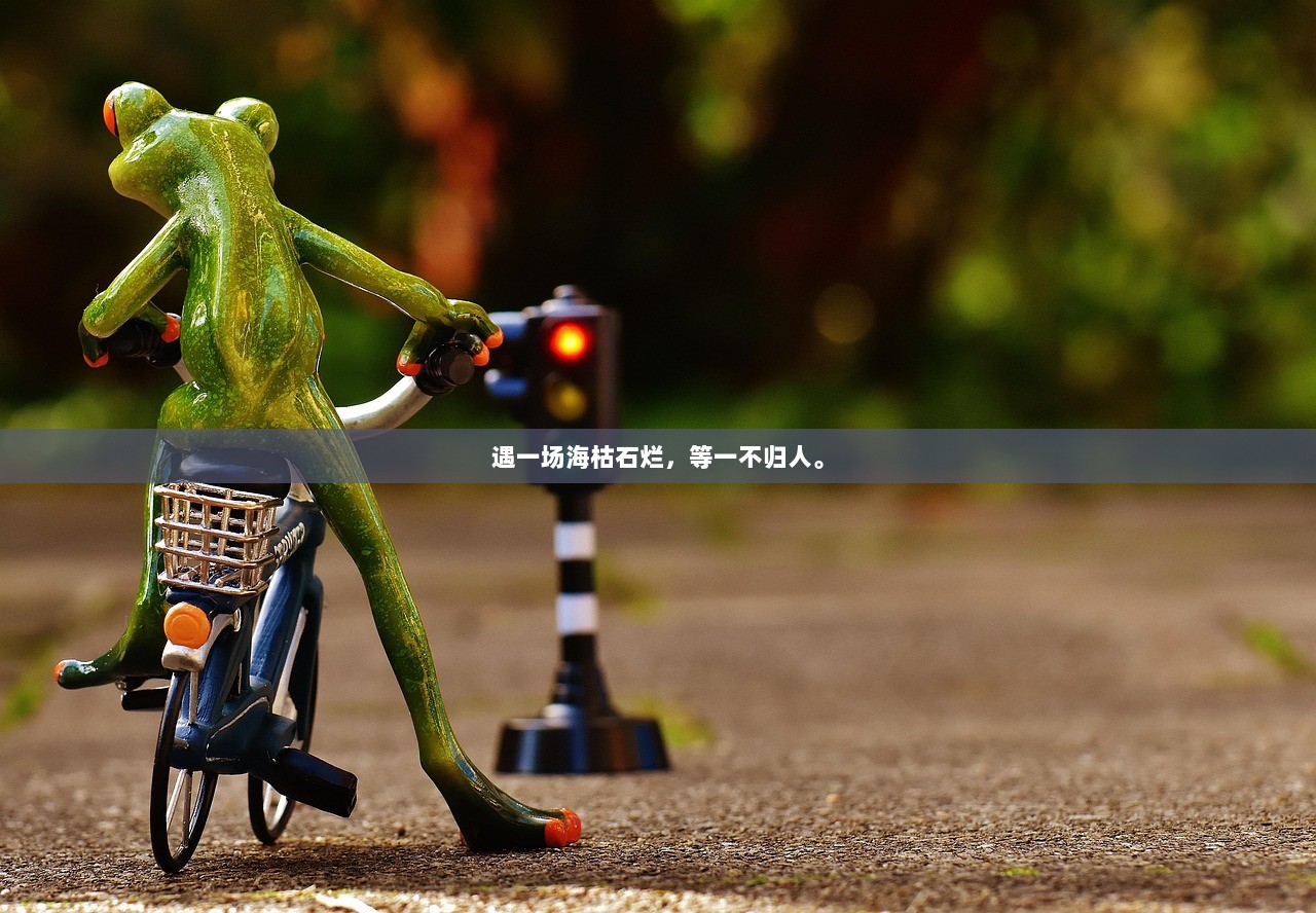 遇一场海枯石烂，等一不归人。