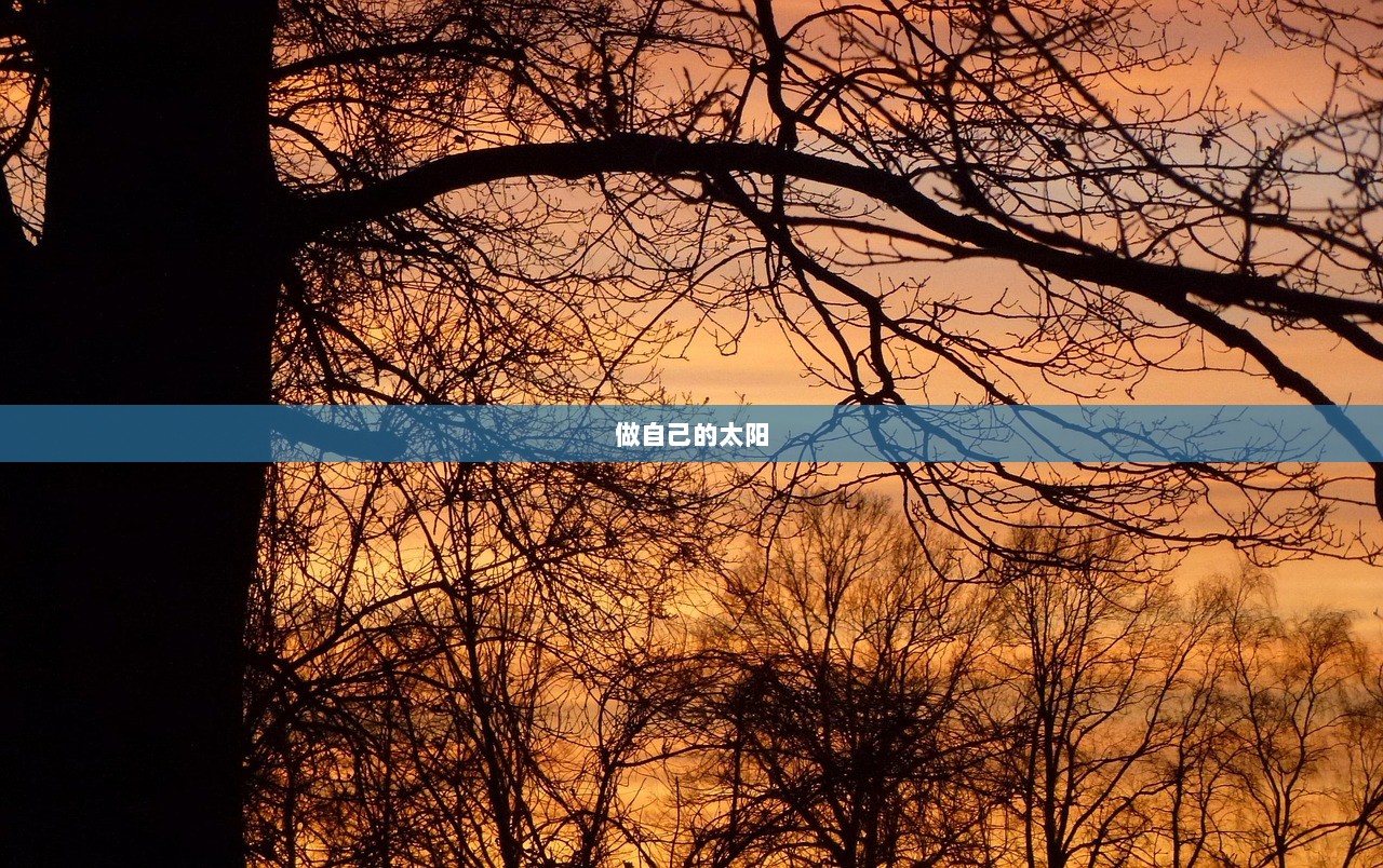 做自己的太阳