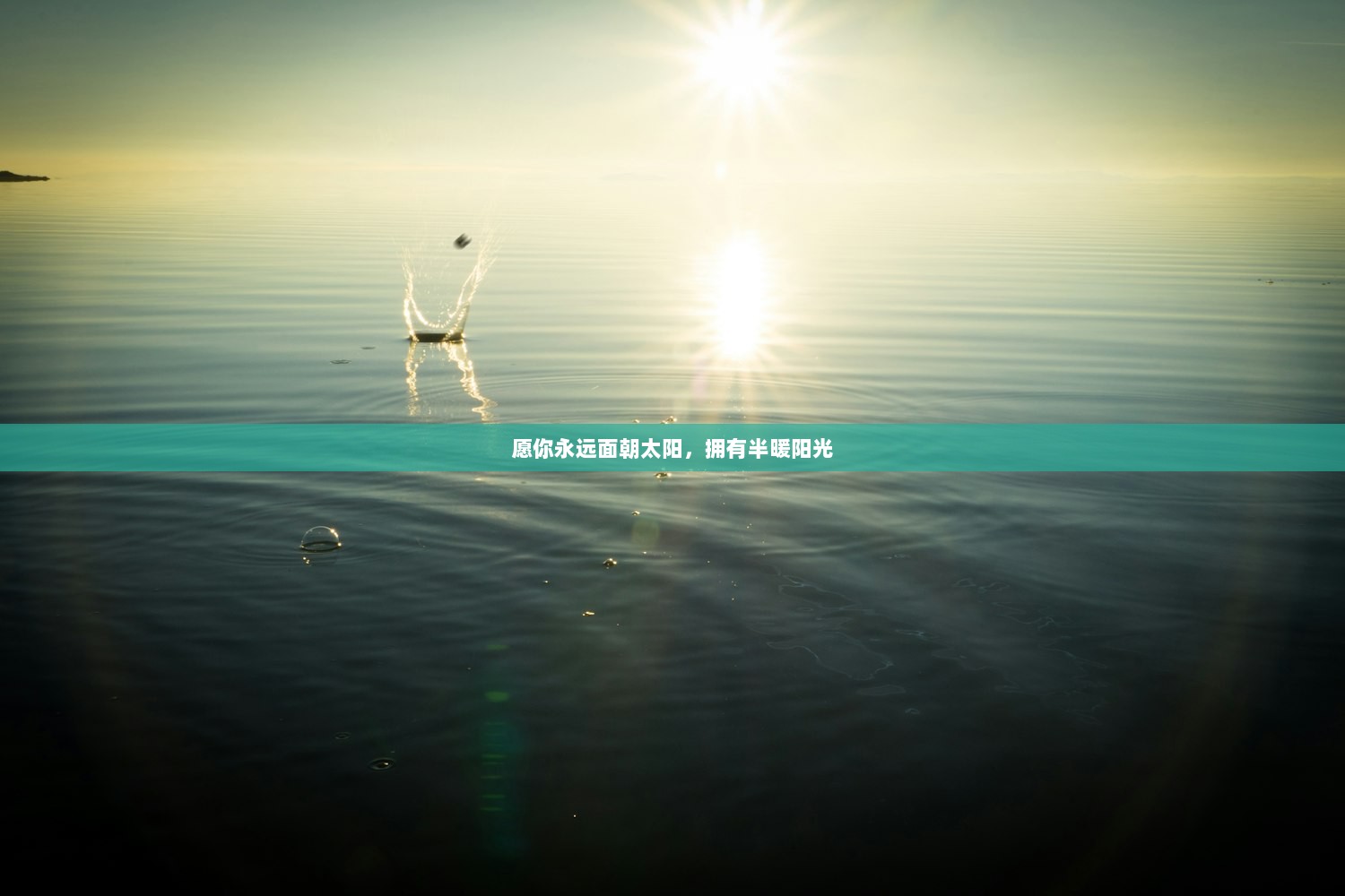 愿你永远面朝太阳，拥有半暖阳光
