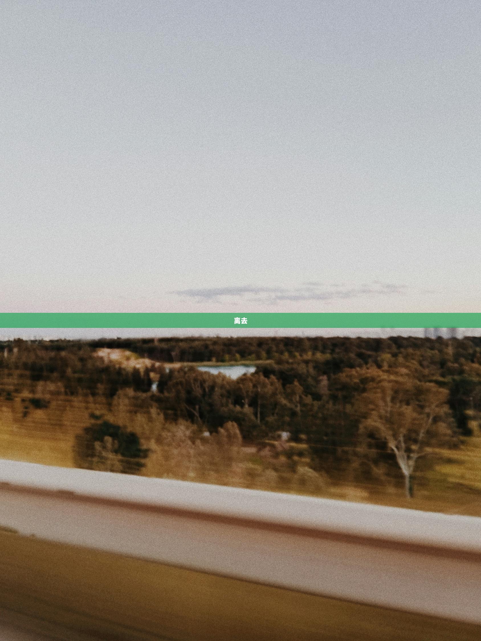 离去