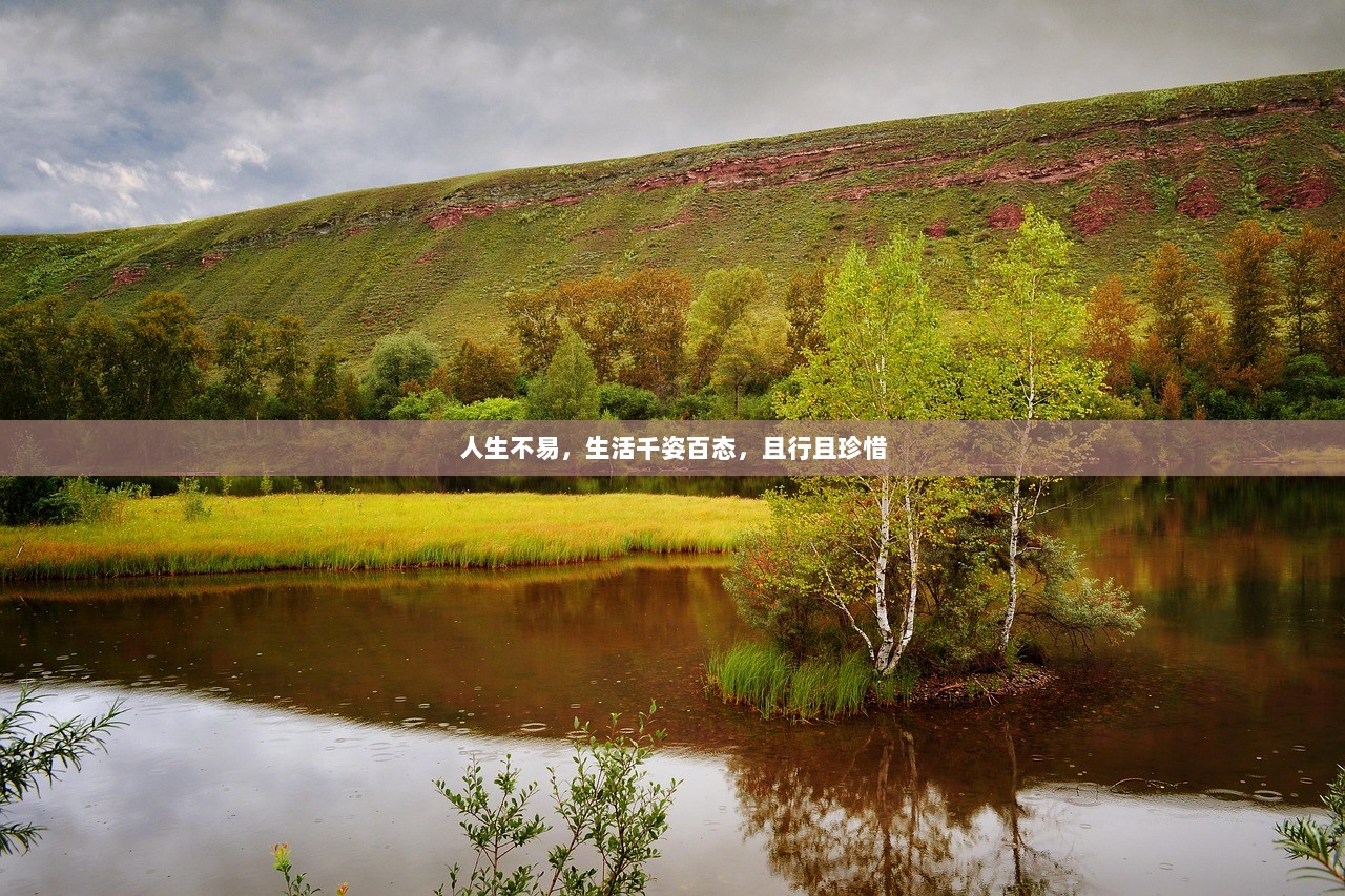 人生不易，生活千姿百态，且行且珍惜