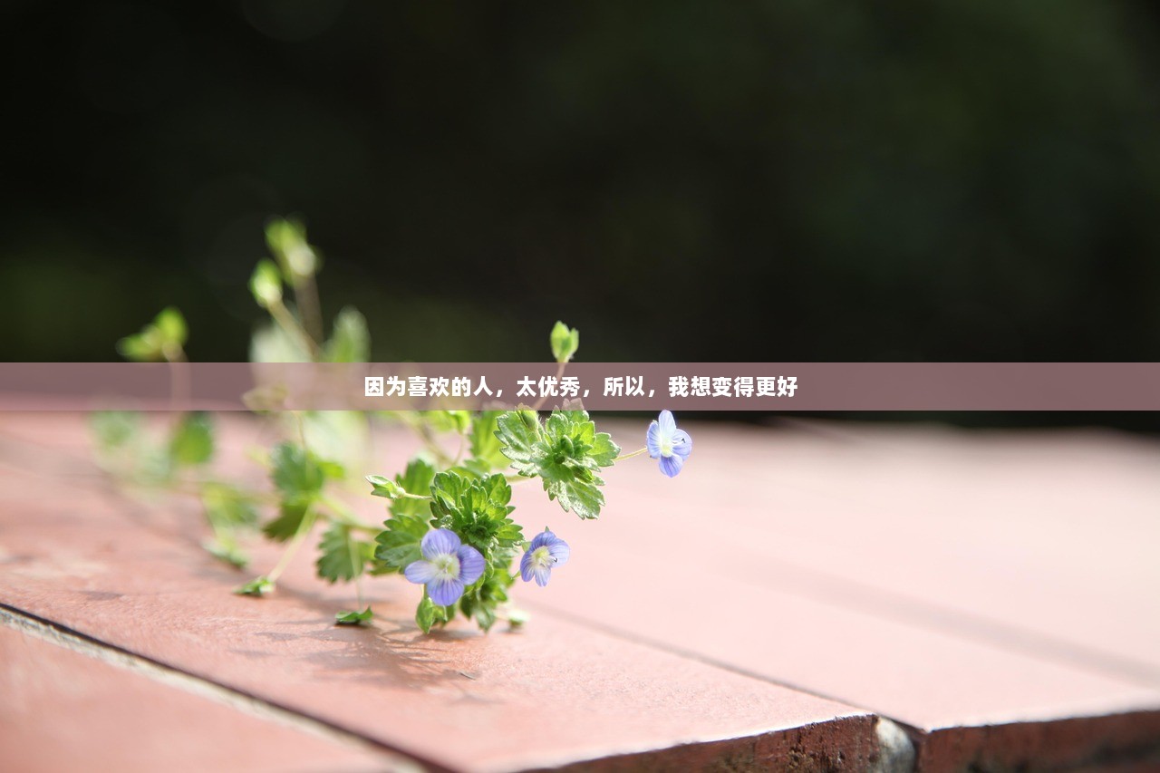 因为喜欢的人，太优秀，所以，我想变得更好