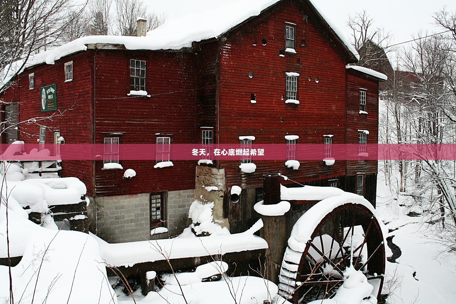 冬天，在心底燃起希望