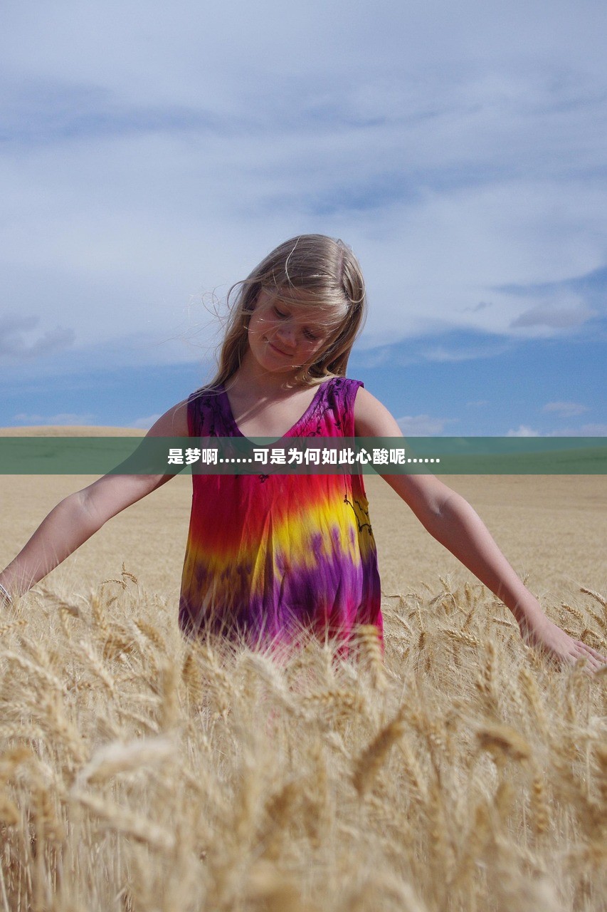 是梦啊……可是为何如此心酸呢……