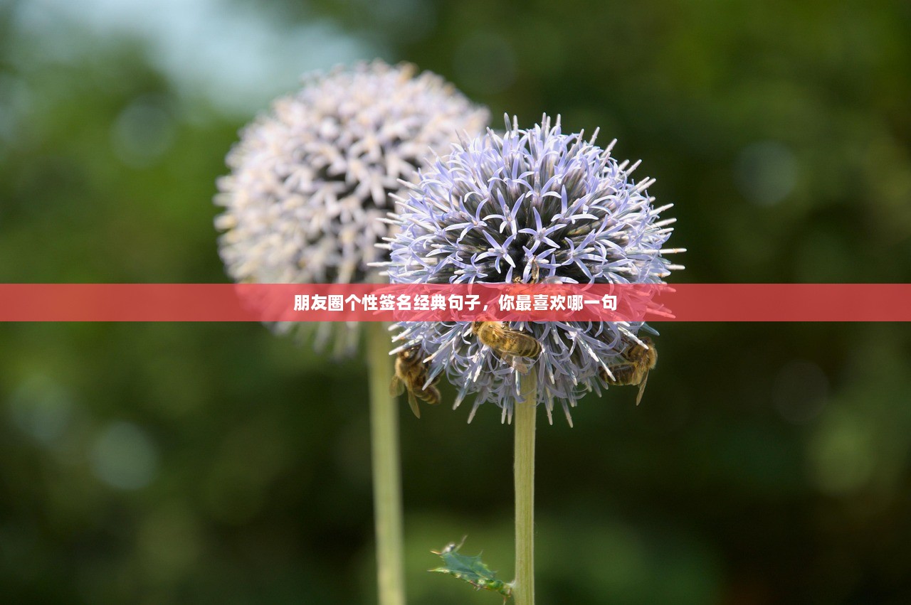 朋友圈个性签名经典句子，你最喜欢哪一句