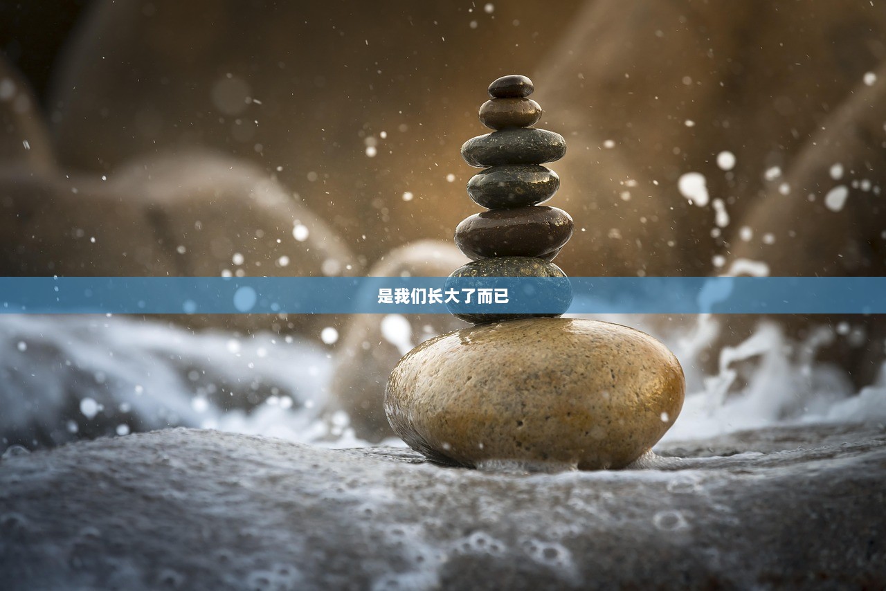 是我们长大了而已