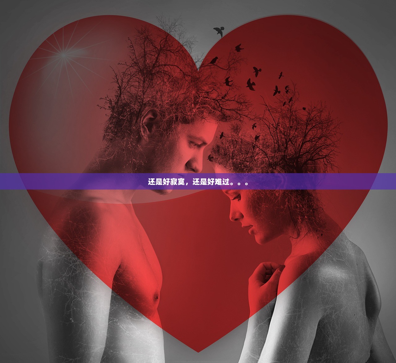 还是好寂寞，还是好难过。。。