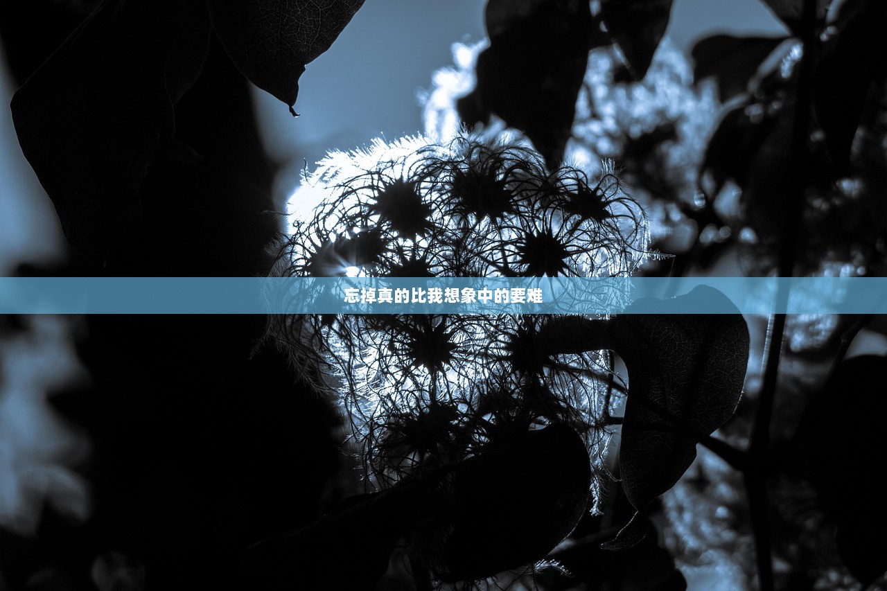 忘掉真的比我想象中的要难