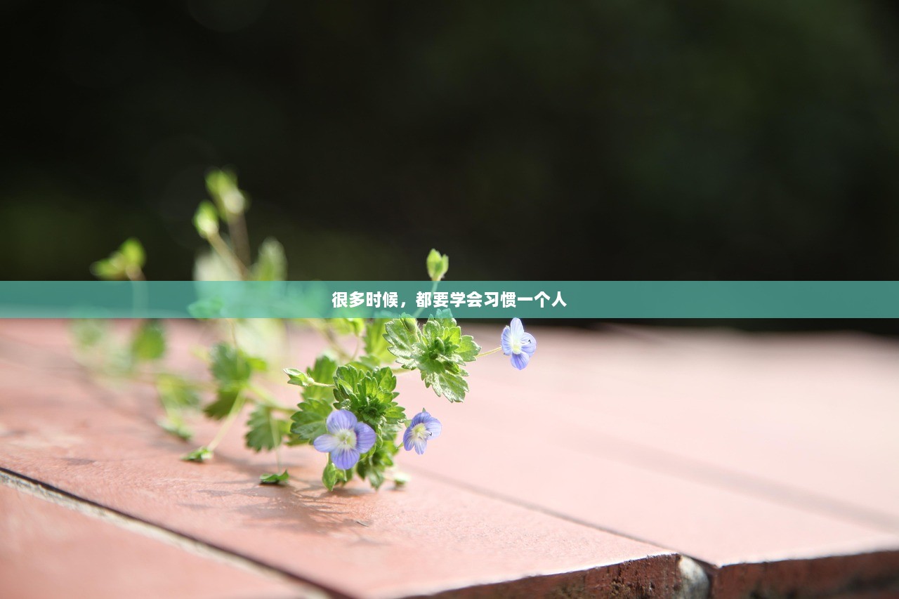 很多时候，都要学会习惯一个人