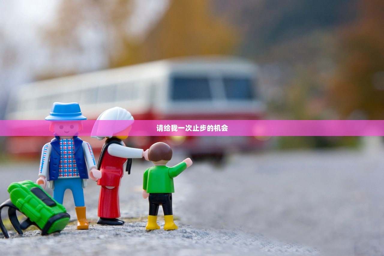 请给我一次止步的机会