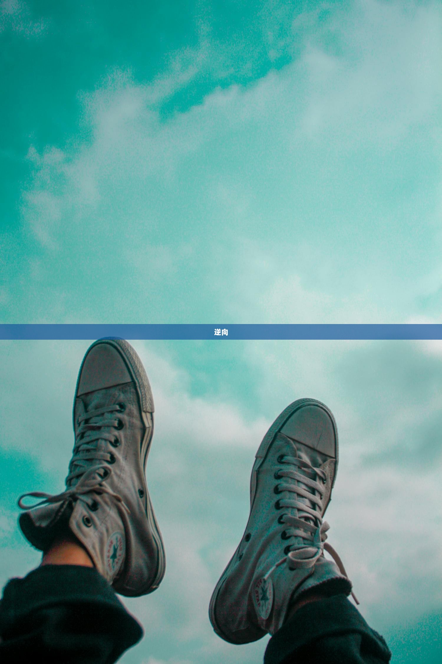 逆向