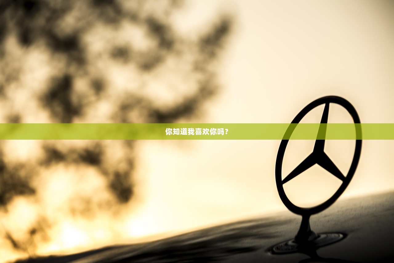 你知道我喜欢你吗？