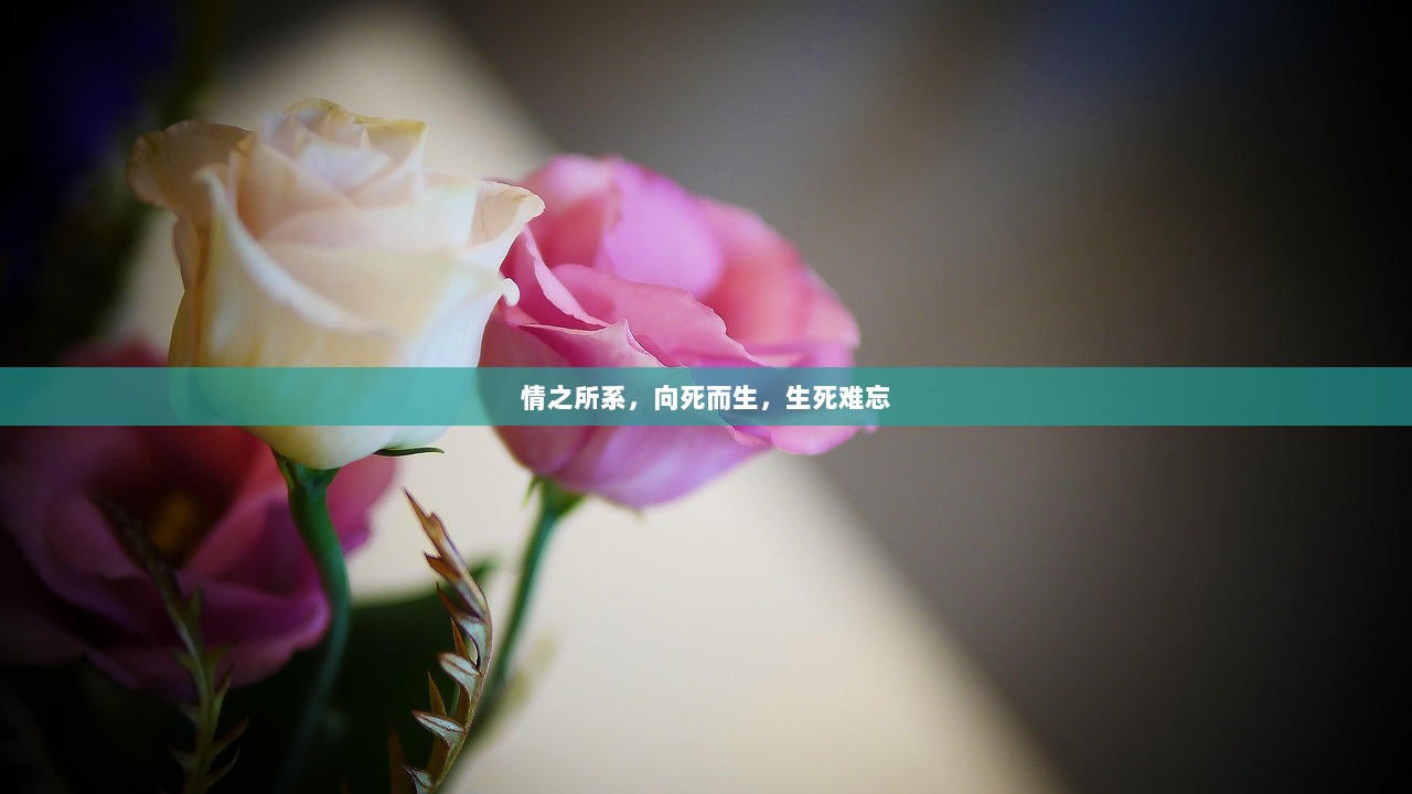 情之所系，向死而生，生死难忘