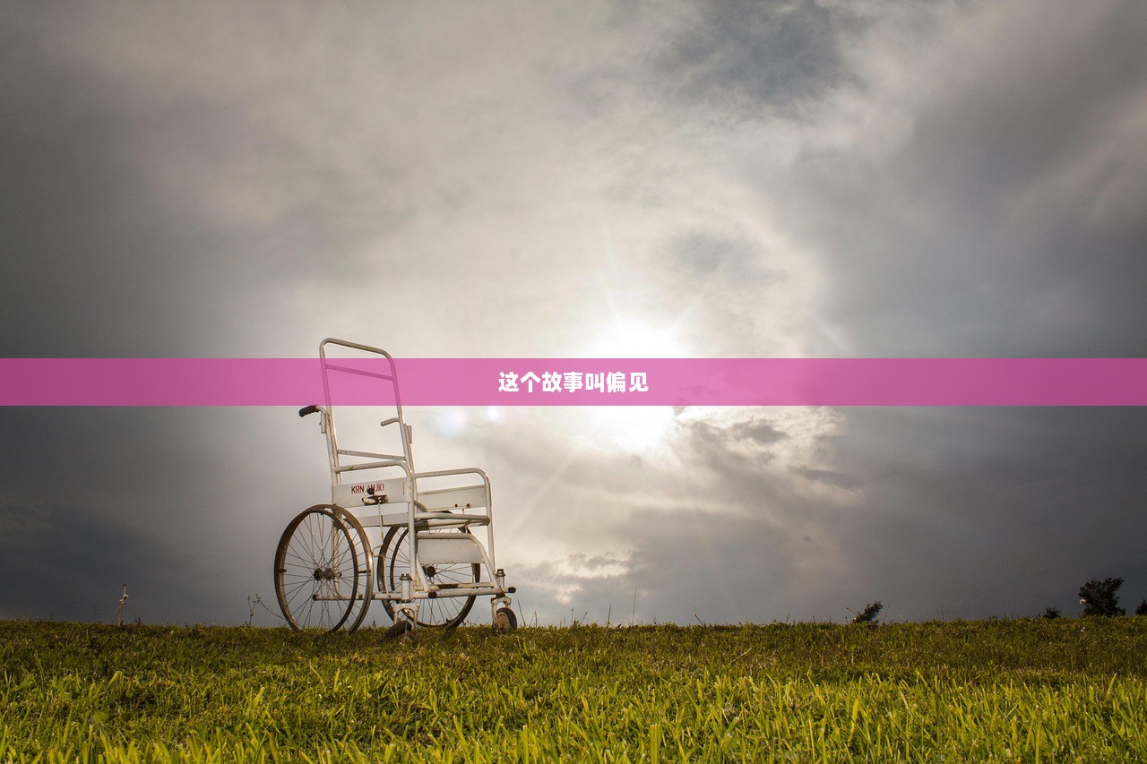 这个故事叫偏见