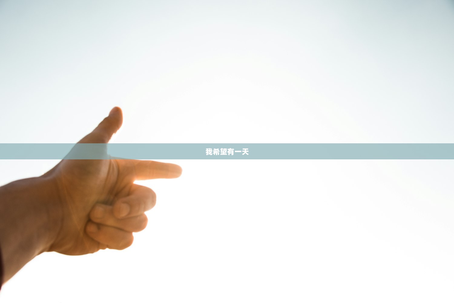 我希望有一天