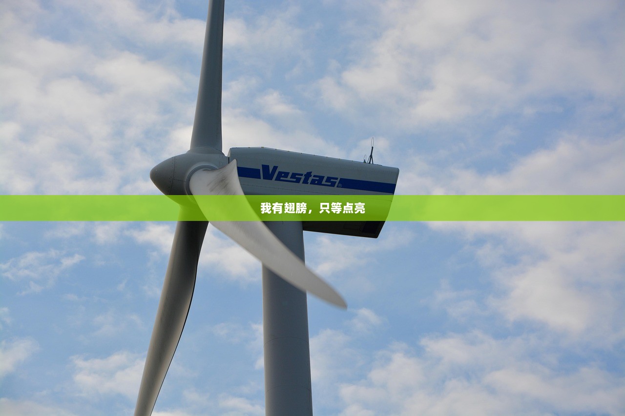 我有翅膀，只等点亮