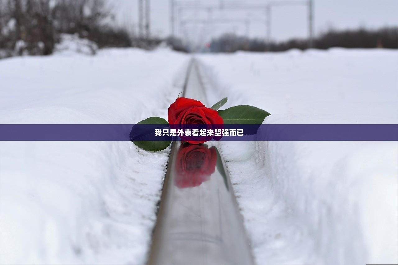 我只是外表看起来坚强而已