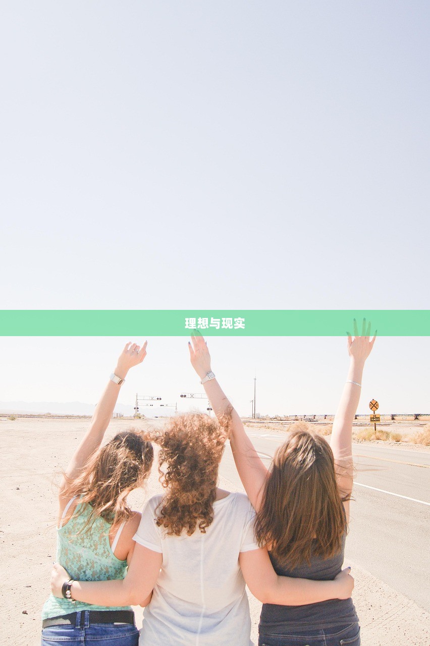 理想与现实