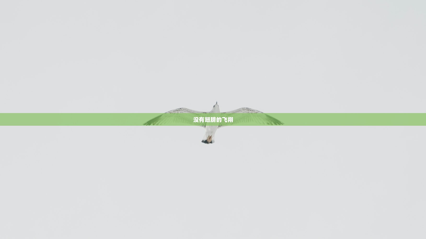 没有翅膀的飞翔